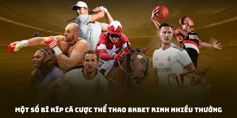 Rút ra một số kinh nghiệm cược vốn thể thao 8KBET ăn nhiều tiền